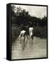 Two Boys Bathing-Emerson Peter Henry-Framed Stretched Canvas