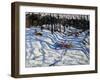 Two Boys Falling Off a Sledge, Morzine-Andrew Macara-Framed Giclee Print