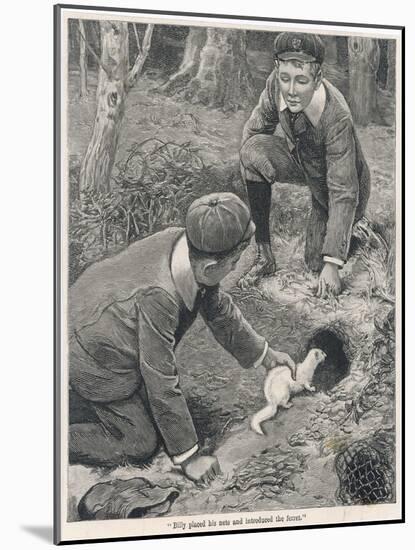 Two Boys in Caps Set a Ferret Down a Rabbit Hole-null-Mounted Art Print