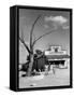 Two Boys Playing Nr. a Dead Tree as Judge Roy Langrty and a Man Walk Past a General Store-Alfred Eisenstaedt-Framed Stretched Canvas