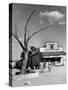 Two Boys Playing Nr. a Dead Tree as Judge Roy Langrty and a Man Walk Past a General Store-Alfred Eisenstaedt-Stretched Canvas