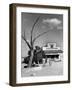 Two Boys Playing Nr. a Dead Tree as Judge Roy Langrty and a Man Walk Past a General Store-Alfred Eisenstaedt-Framed Photographic Print