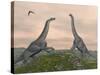Two Brachiosaurus Dinosaurs Fighting-null-Stretched Canvas