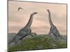 Two Brachiosaurus Dinosaurs Fighting-null-Mounted Art Print