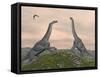 Two Brachiosaurus Dinosaurs Fighting-null-Framed Stretched Canvas