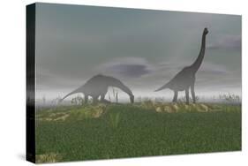 Two Brachiosaurus Dinosaurs Grazing in the Mist-null-Stretched Canvas