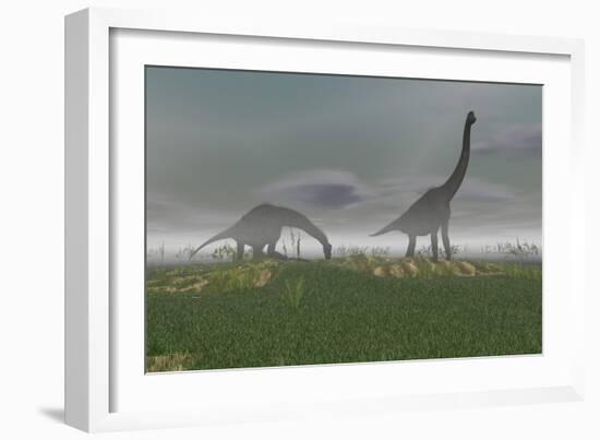 Two Brachiosaurus Dinosaurs Grazing in the Mist-null-Framed Art Print