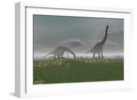 Two Brachiosaurus Dinosaurs Grazing in the Mist-null-Framed Art Print