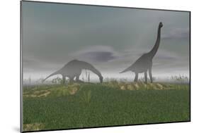 Two Brachiosaurus Dinosaurs Grazing in the Mist-null-Mounted Art Print