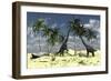 Two Brachiosaurus Dinosaurs Grazing on Trees-null-Framed Art Print