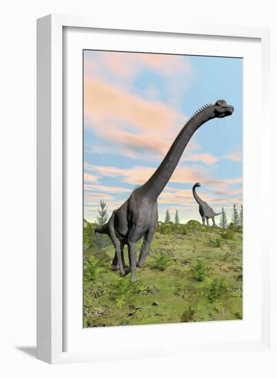 Two Brachiosaurus Dinosaurs in a Prehistoric Environment-null-Framed Art Print