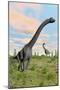 Two Brachiosaurus Dinosaurs in a Prehistoric Environment-null-Mounted Art Print