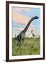 Two Brachiosaurus Dinosaurs in a Prehistoric Environment-null-Framed Art Print