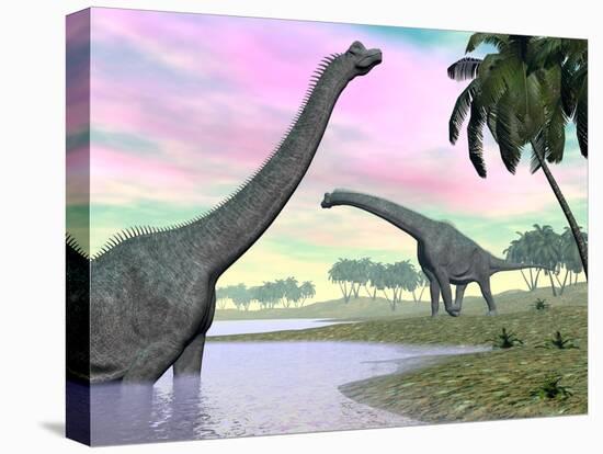 Two Brachiosaurus Dinosaurs in Landscape with Water and Palm Trees-null-Stretched Canvas