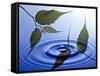 Two Branches with Green Leaves Floating Above Blue Water Ripples-null-Framed Stretched Canvas