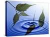 Two Branches with Green Leaves Floating Above Blue Water Ripples-null-Stretched Canvas