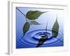 Two Branches with Green Leaves Floating Above Blue Water Ripples-null-Framed Photographic Print