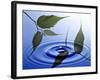 Two Branches with Green Leaves Floating Above Blue Water Ripples-null-Framed Photographic Print