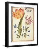 Two 'Broken' Tulips and a Periwinkle-Nicolas Robert-Framed Giclee Print