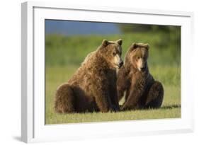 Two Brown Bears Sitting in Meadow at Hallo Bay-Paul Souders-Framed Photographic Print