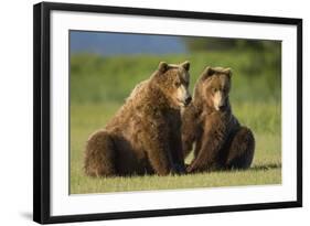 Two Brown Bears Sitting in Meadow at Hallo Bay-Paul Souders-Framed Photographic Print