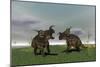 Two Brown Einiosaurus Dinosaurs Confront Each Other in an Open Field-null-Mounted Art Print