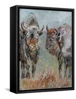 Two Buffaloes-Pol Ledent-Framed Stretched Canvas