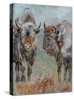 Two Buffaloes-Pol Ledent-Stretched Canvas