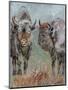 Two Buffaloes-Pol Ledent-Mounted Art Print