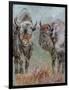 Two Buffaloes-Pol Ledent-Framed Art Print