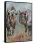 Two Buffaloes-Pol Ledent-Framed Stretched Canvas