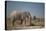 Two Bull Elephants in Etosha National Park, Namibia-Alex Saberi-Stretched Canvas