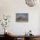 Two Bull Elephants in Etosha National Park, Namibia-Alex Saberi-Stretched Canvas displayed on a wall