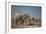 Two Bull Elephants in Etosha National Park, Namibia-Alex Saberi-Framed Photographic Print