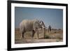 Two Bull Elephants in Etosha National Park, Namibia-Alex Saberi-Framed Photographic Print