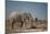 Two Bull Elephants in Etosha National Park, Namibia-Alex Saberi-Mounted Photographic Print