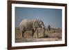 Two Bull Elephants in Etosha National Park, Namibia-Alex Saberi-Framed Photographic Print