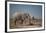 Two Bull Elephants in Etosha National Park, Namibia-Alex Saberi-Framed Photographic Print