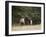 Two Bull Elk (Cervus Canadensis) Facing Off During the Rut, Jasper National Park, Alberta, Canada-James Hager-Framed Photographic Print