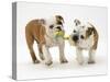 Two Bulldog Pups Carrying a Ragger-Jane Burton-Stretched Canvas