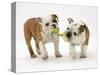 Two Bulldog Pups Carrying a Ragger-Jane Burton-Stretched Canvas