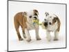 Two Bulldog Pups Carrying a Ragger-Jane Burton-Mounted Photographic Print