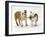 Two Bulldog Pups Carrying a Ragger-Jane Burton-Framed Photographic Print