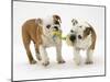 Two Bulldog Pups Carrying a Ragger-Jane Burton-Mounted Photographic Print