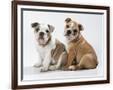 Gramercy Espresso