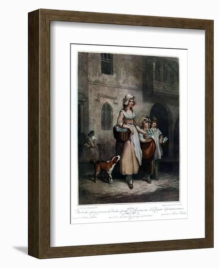 Two Bunches a Penny Primroses, Two Bunches a Penny, 1793-Luigi Schiavonetti-Framed Giclee Print