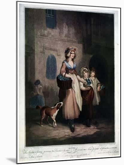 Two Bunches a Penny, Primroses, Two Bunches a Penny, 1793-Luigi Schiavonetti-Mounted Giclee Print