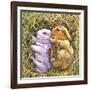 Two Bunnies-Wendy Edelson-Framed Giclee Print