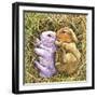 Two Bunnies-Wendy Edelson-Framed Giclee Print