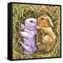 Two Bunnies-Wendy Edelson-Framed Stretched Canvas
